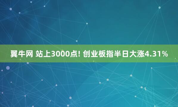 翼牛网 站上3000点! 创业板指半日大涨4.31%