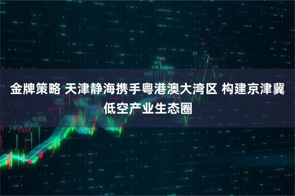 金牌策略 天津静海携手粤港澳大湾区 构建京津冀低空产业生态圈