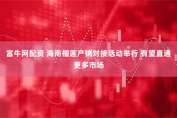 富牛网配资 海南榴莲产销对接活动举行 有望直通更多市场