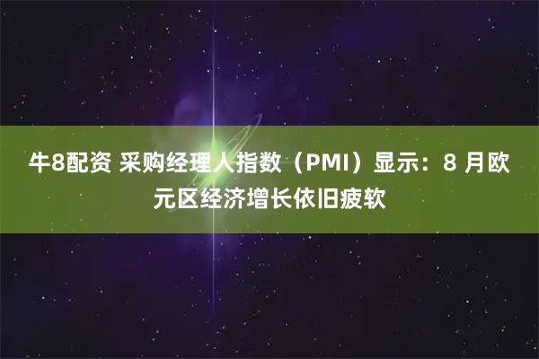 牛8配资 采购经理人指数（PMI）显示：8 月欧元区经济增长依旧疲软