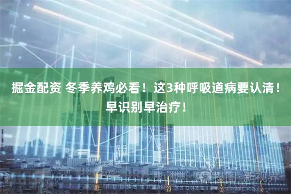 掘金配资 冬季养鸡必看！这3种呼吸道病要认清！早识别早治疗！