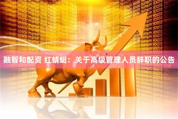 融智和配资 红蜻蜓：关于高级管理人员辞职的公告