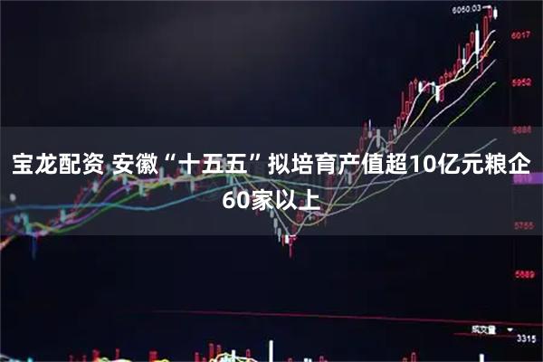 宝龙配资 安徽“十五五”拟培育产值超10亿元粮企60家以上